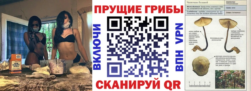 Псилоцибиновые грибы MAGIC MUSHROOMS  Новосокольники 