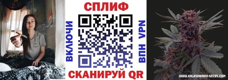 где можно купить   Новосокольники  Бошки Шишки White Widow 